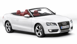 audi ignition key spring tx